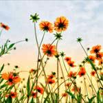 Spring into action on I-Drive this April!